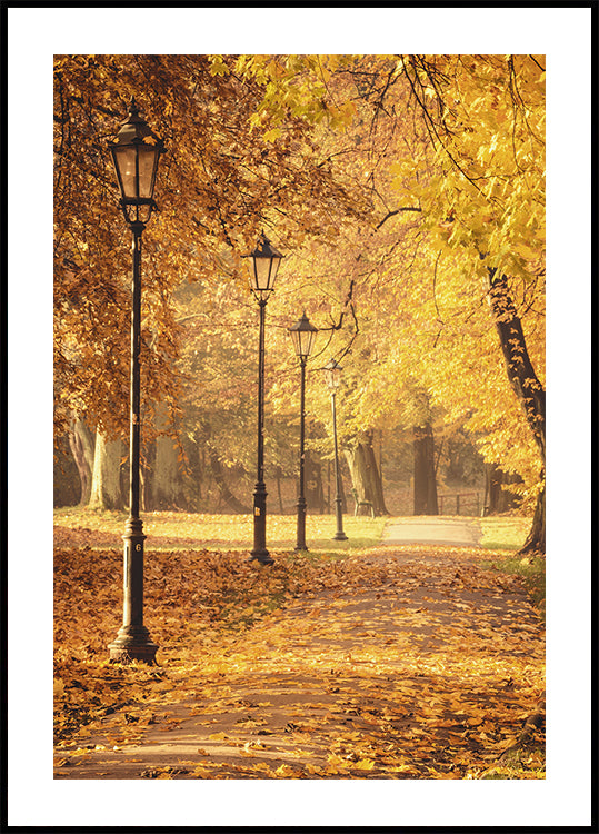 Golden Autumn Park Path Plakat - Posterbox.dk