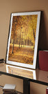 Golden Autumn Park Path Plakat - Posterbox.dk
