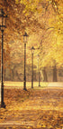 Golden Autumn Park Path Plakat - Posterbox.dk