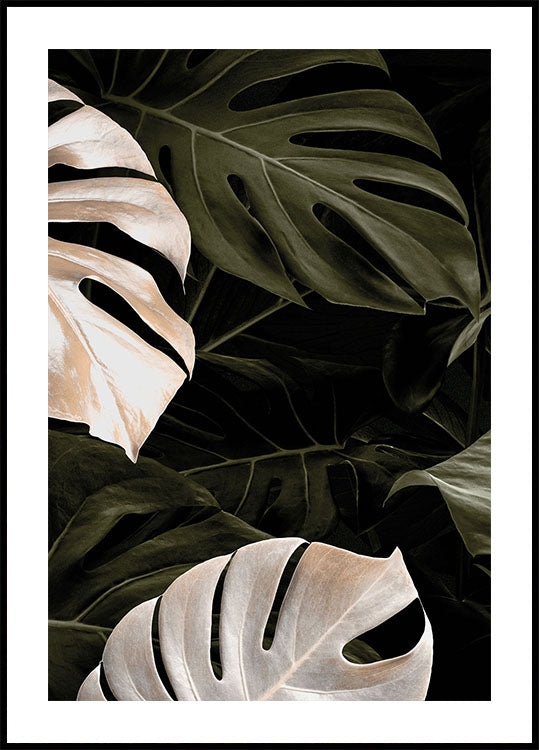 Golden Monstera №1 Plakat - Posterbox.dk