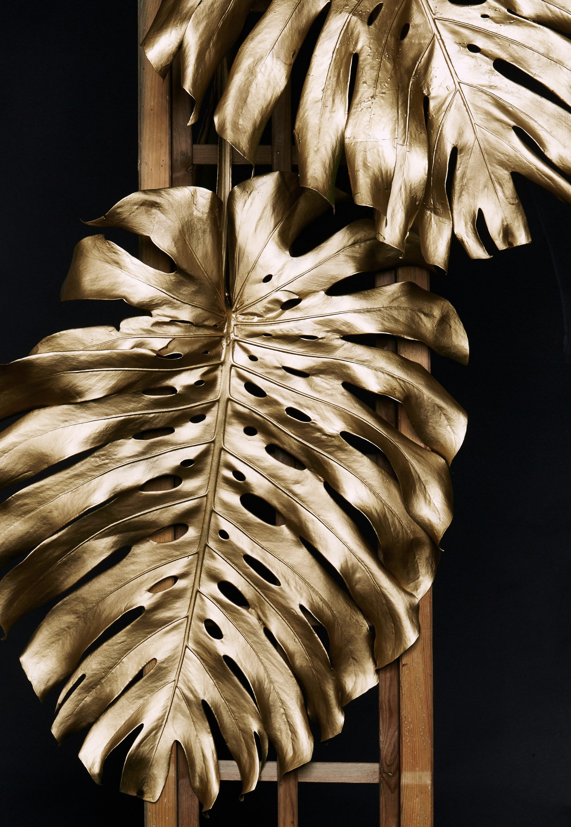 Golden Monstera №2 Plakat - Posterbox.dk