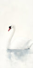Graceful Swan Plakat - Posterbox.dk