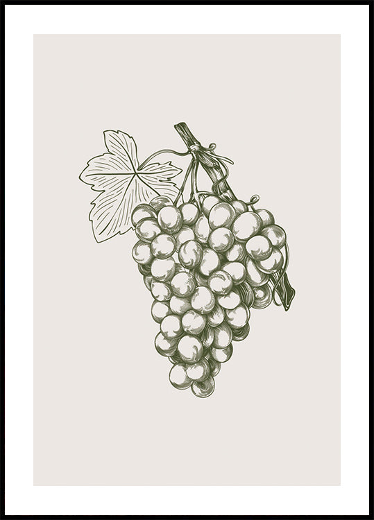 Grape Botanical Plakat - Posterbox.dk