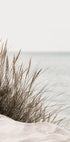 Grass by the Sea Plakat - Posterbox.dk