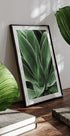 Green Agave Leaves Plakat - Posterbox.dk