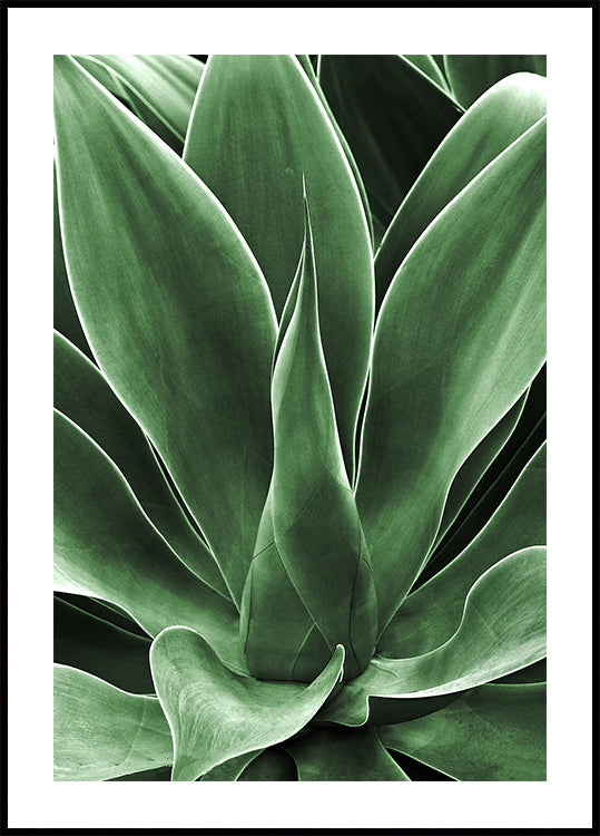 Green Agave Leaves Plakat - Posterbox.dk