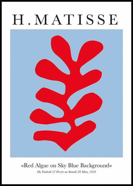 H.Matisse Red Algae on Sky Blue Background Plakat - Posterbox.dk