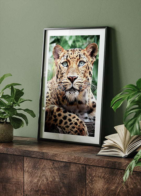 Leopard Close-Up Plakat - Posterbox.dk