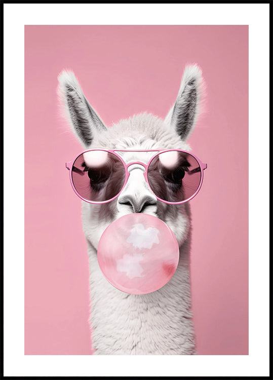 Llama With Bubble Gum Plakat - Posterbox.dk