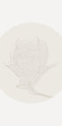 Magnolia Elegance, Botanical Line Art Plakat - Posterbox