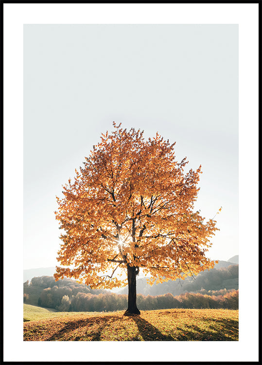 Majestic Autumn Tree Plakat - Posterbox.dk