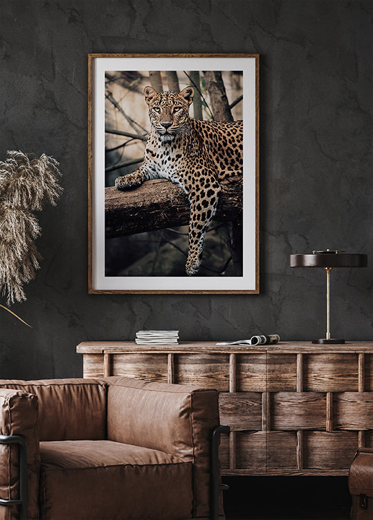 Majestic Leopard Resting on a Tree Plakat - Posterbox.dk