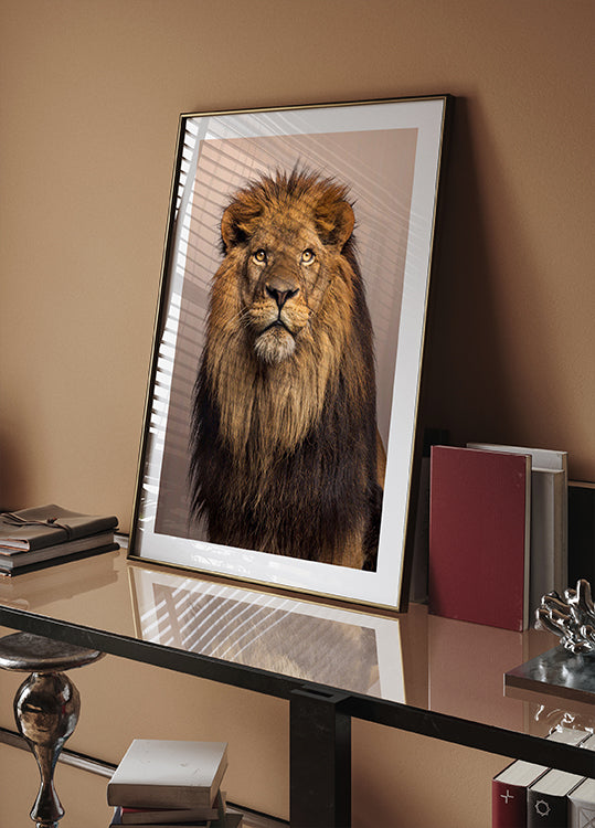 Majestic Lion Plakat - Posterbox.dk