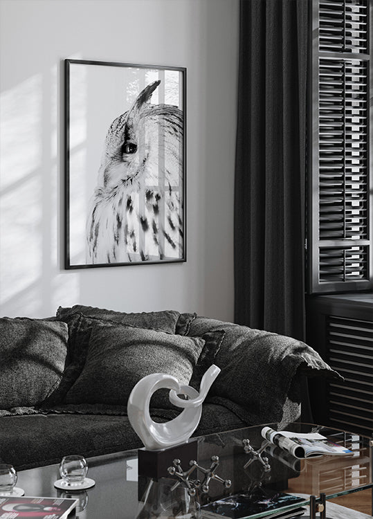 Majestic Owl Gaze Plakat - Posterbox.dk