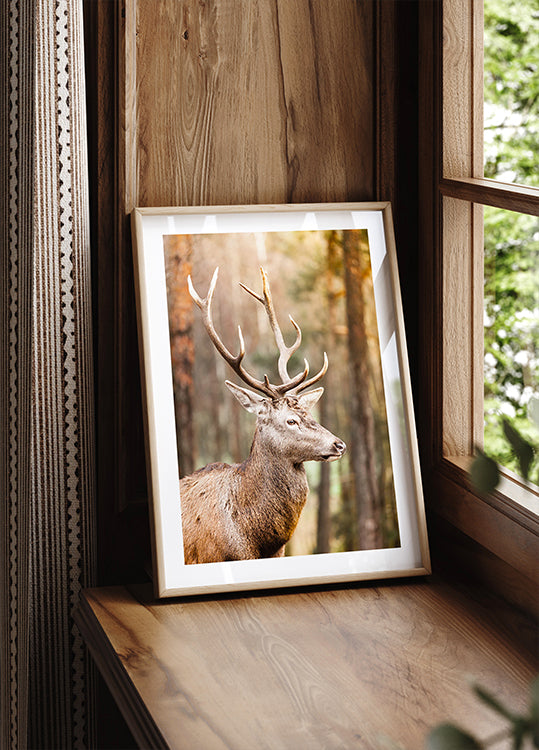 Majestic Red Deer Stag Plakat - Posterbox.dk