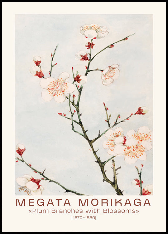 Megata Morikaga, Plum Branches with Blossoms Plakat - Posterbox.dk