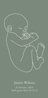 Minimalist Birth – Green Plakat - Posterbox.dk