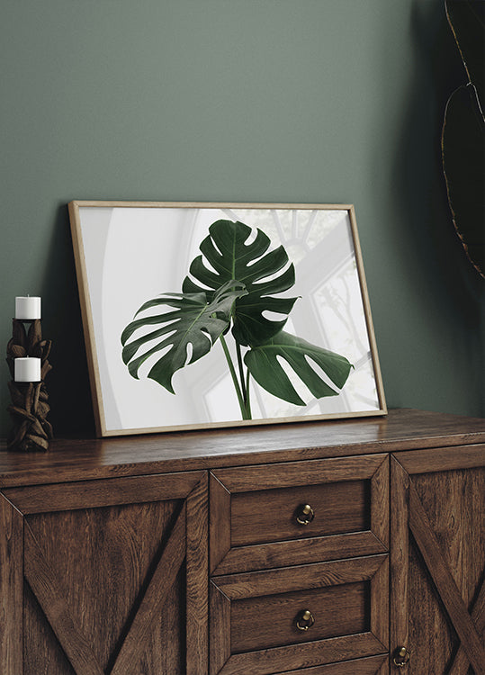 Monstera Plant №1 Plakat - Posterbox.dk