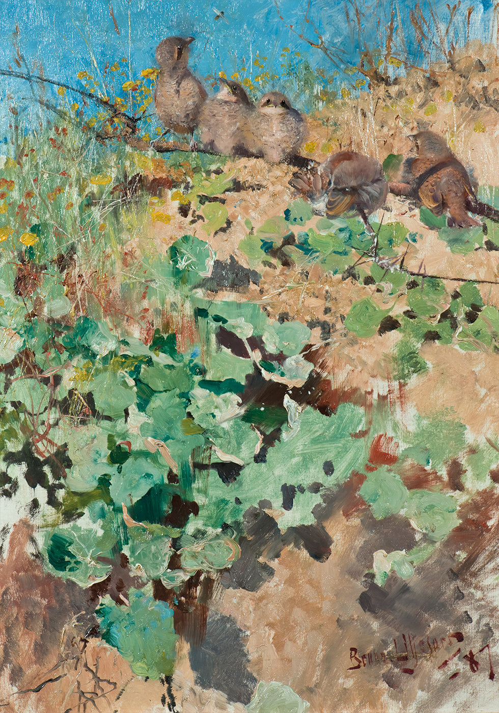 Nestlings of Red-Backed Shrike Plakat - Posterbox.dk