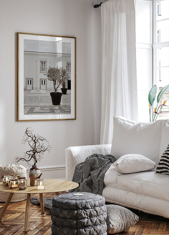 Olive Tree in City Courtyard Plakat - Posterbox.dk