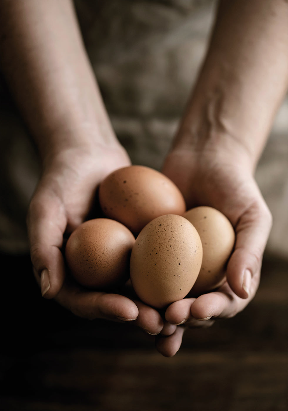 Organic Farm Eggs Plakat - Posterbox.dk