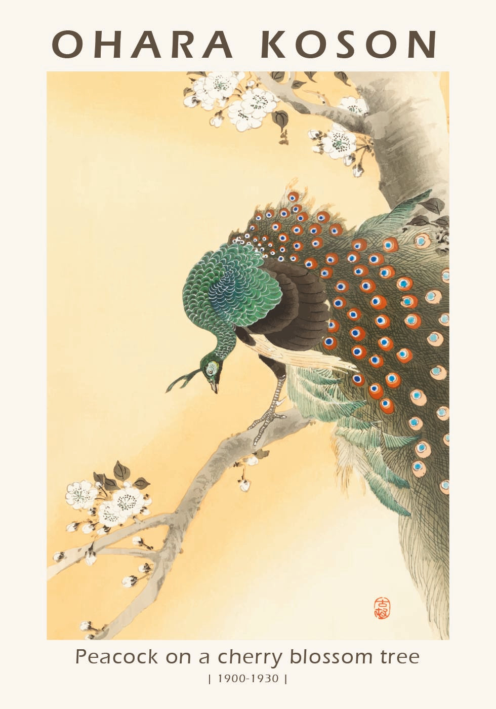 Peacock on a Cherry Blossom Tree, Japanese Woodblock By Ohara Koson Plakat - Posterbox.dk