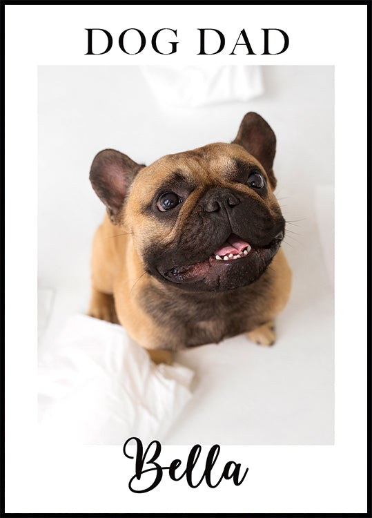 Personalized Pet Plakat - Posterbox.dk