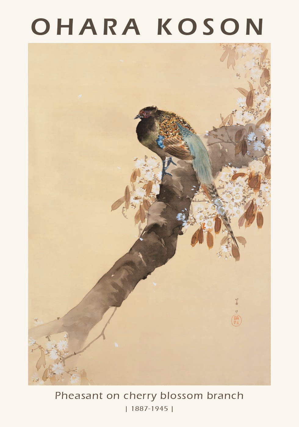 Pheasant on Cherry Blossom Branch, Japanese Woodblock By Ohara Koson Plakat - Posterbox.dk