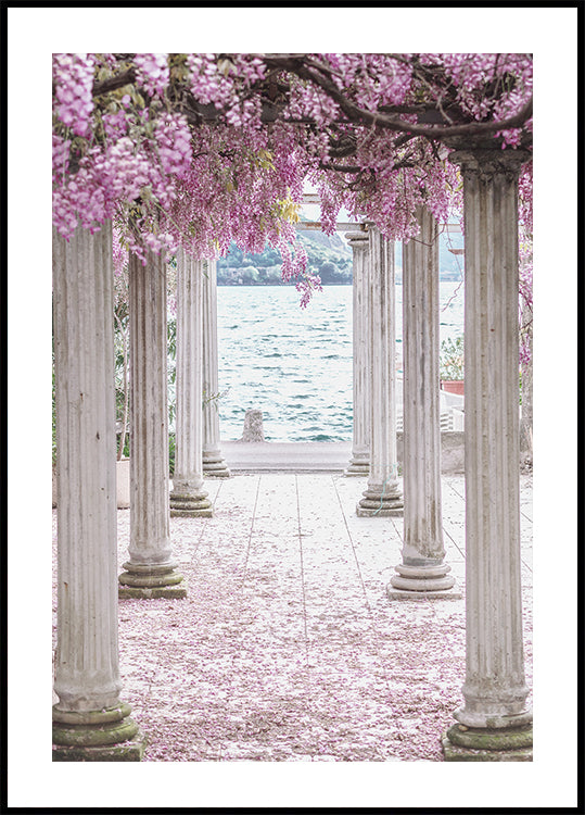 Pillars and Wisteria Flowers Plakat - Posterbox.dk