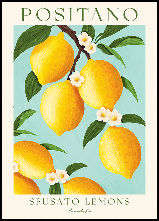 Positano Lemons, Amalfi Coast Citrus Plakat - Posterbox.dk