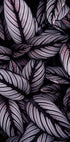 Purple Leaves Plakat - Posterbox.dk