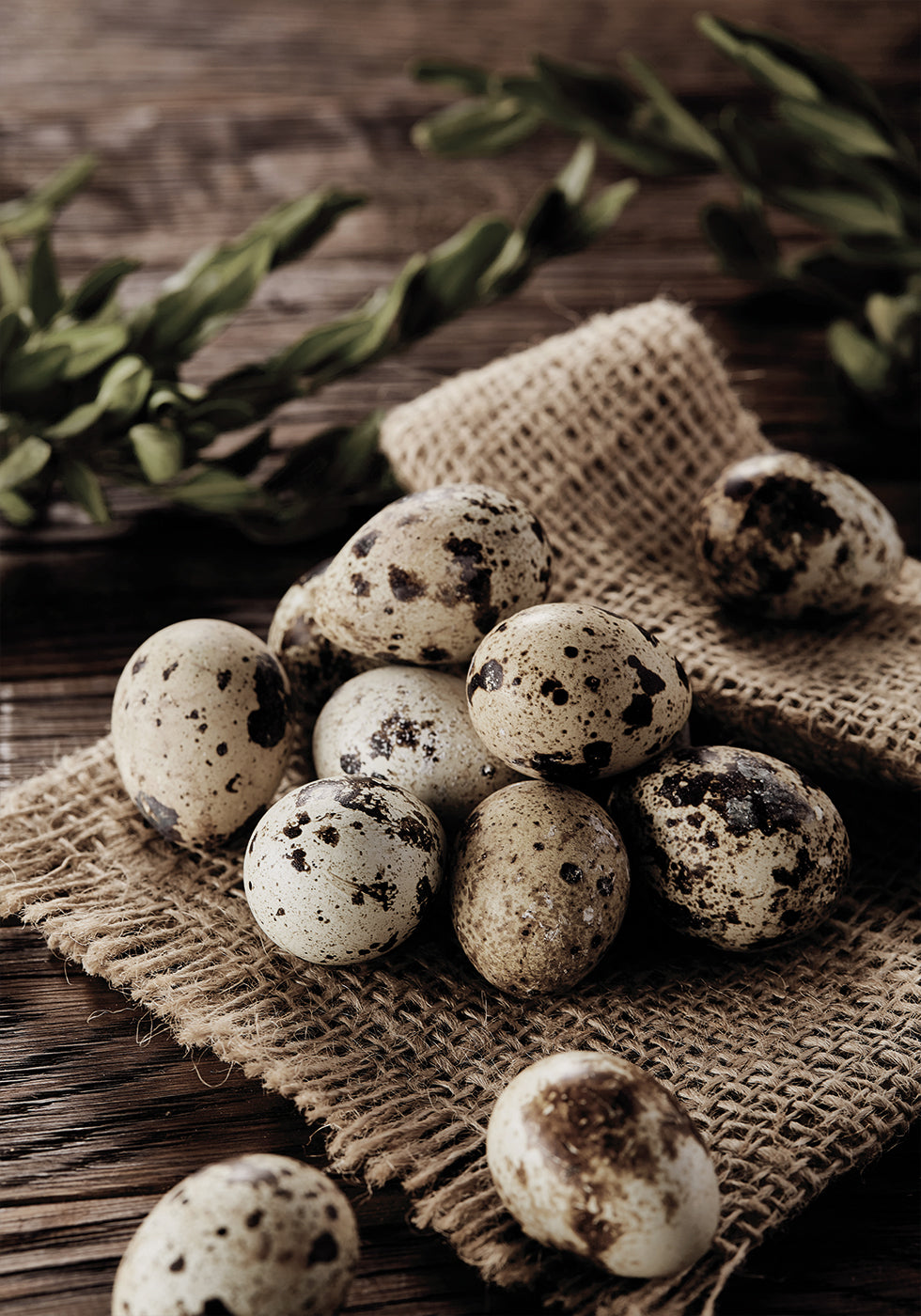 Quail Eggs on Rustic Burlap Plakat - Posterbox.dk