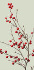 a small tree with red berries on it