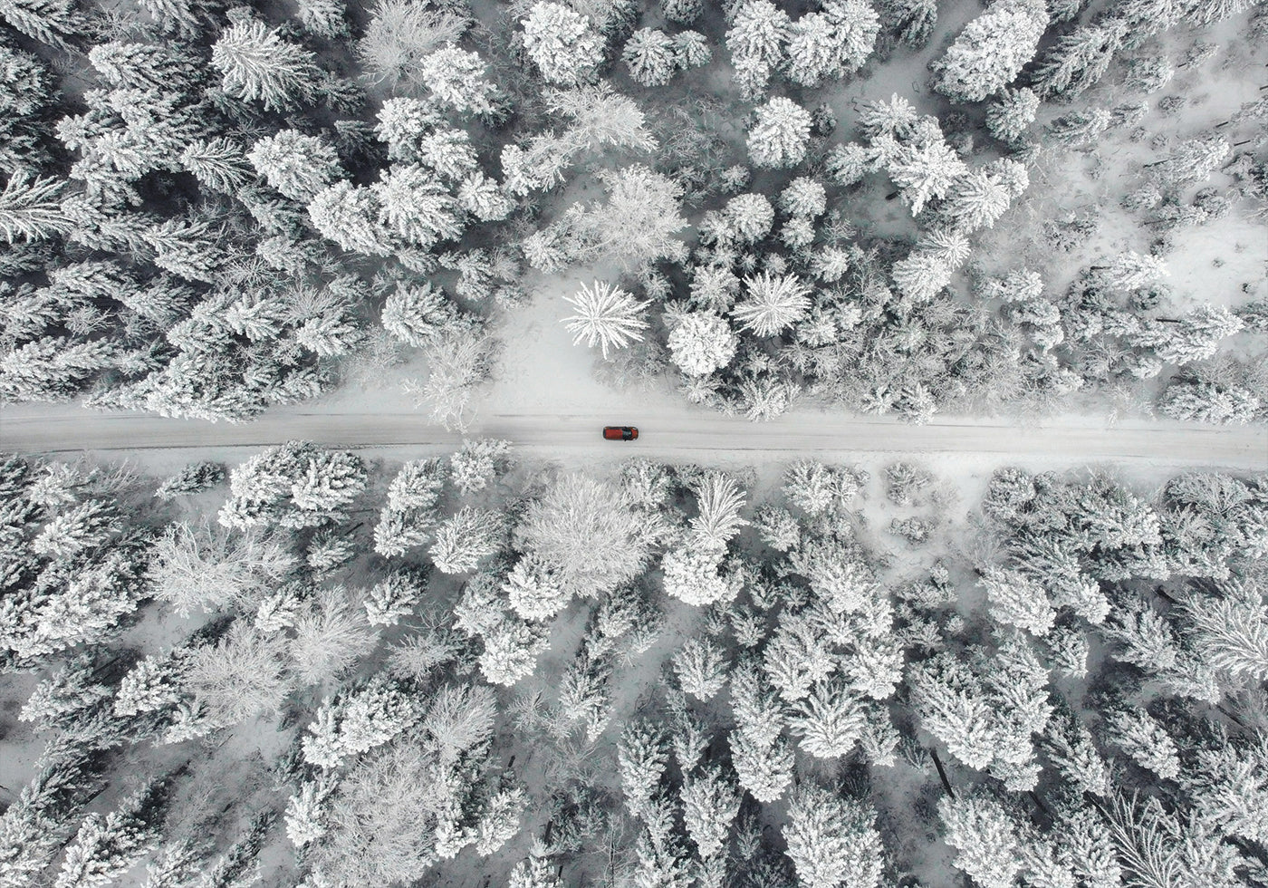 Red Car Driving Through Snowy Forest Plakat - Posterbox.dk