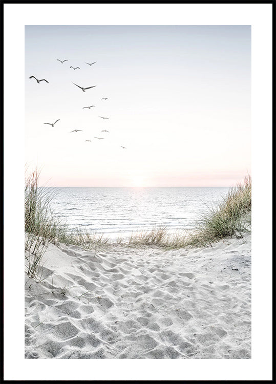Seagulls and Sandy Beach Plakat - Posterbox.dk