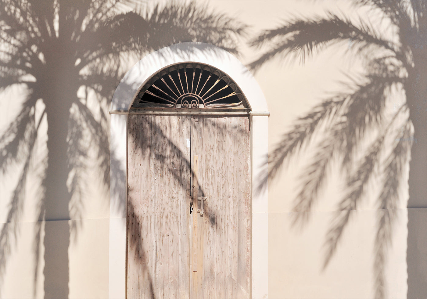 Shade of Palm Trees Plakat - Posterbox.dk