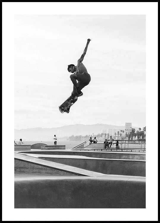Skater Plakat - Posterbox.dk