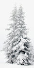 Snow-Covered Pine Trees Plakat - Posterbox.dk