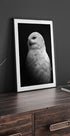 Snowy Owl in Black and White Plakat - Posterbox.dk