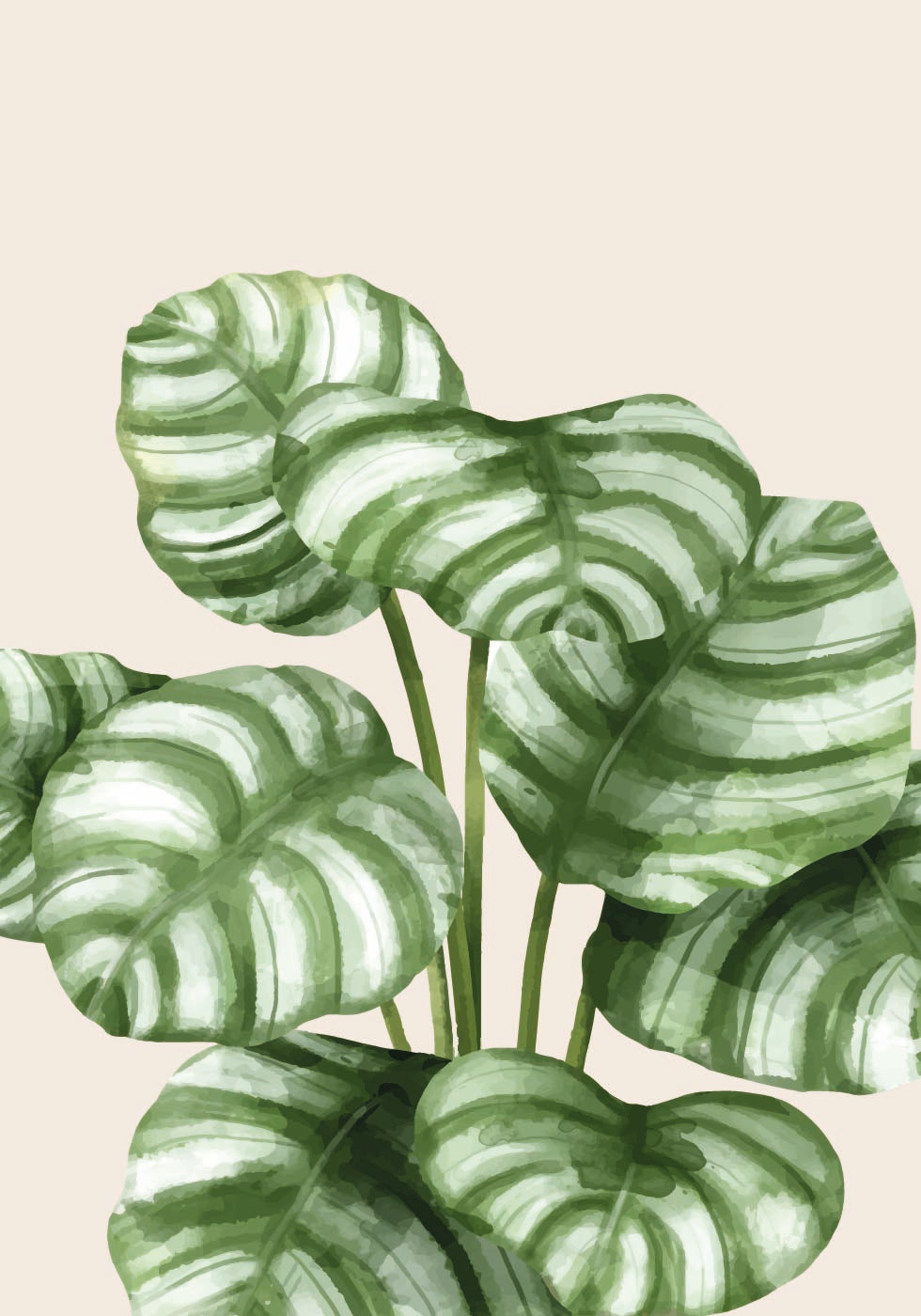 Striped Green Leaves Botanical Plakat - Posterbox.dk