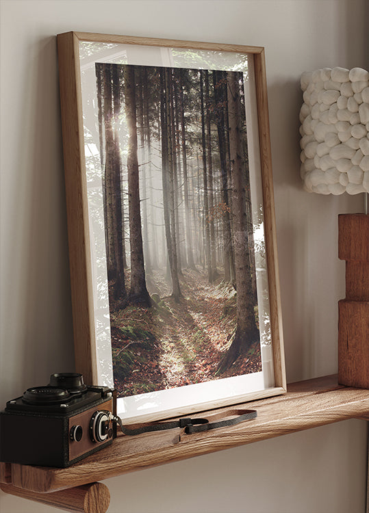 Sunbeam Forest Plakat - Posterbox.dk