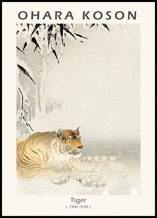 Tiger, Japanese Woodblock By Ohara Koson Plakat - Posterbox.dk