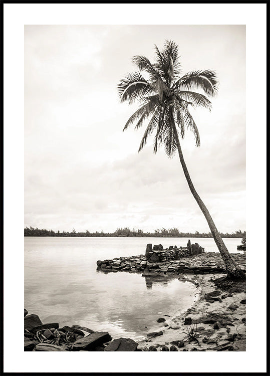Tropical Palm on Beach Plakat - Posterbox.dk