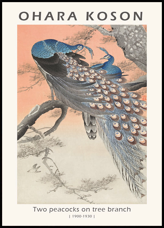 Two Peacocks, Japanese Woodblock By Ohara Koson Plaklat - Posterbox.dk
