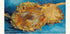V. Gogh-Sunflowers Plakat - Posterbox.dk