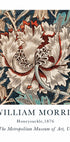 W.Morris Honeysuckle Plakat - Posterbox.dk