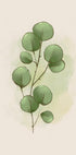 Watercolor Eucalyptus Botanical Plakat - Posterbox.dk