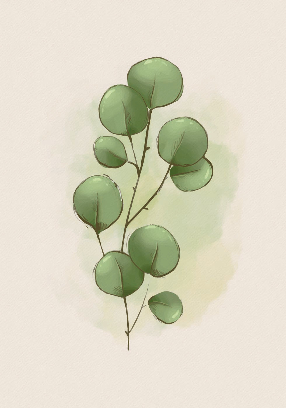 Watercolor Eucalyptus Botanical Plakat - Posterbox.dk