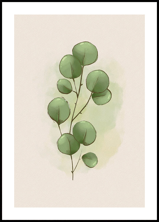Watercolor Eucalyptus Botanical Plakat - Posterbox.dk