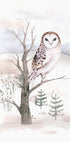 Watercolor Owl in the Forest Plakat - Posterbox.dk